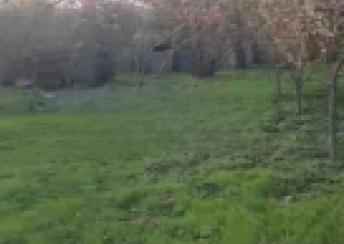  Qəbələ  şəhərində torpaq satılır