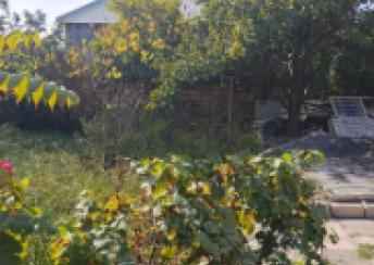  Mingəçevir  şəhərində torpaq satılır
