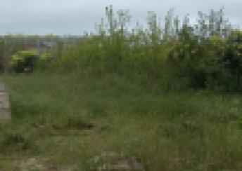  Albalılıq qəsəbəsində torpaq satılır