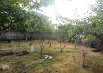  Binə qəsəbəsində torpaq satılır