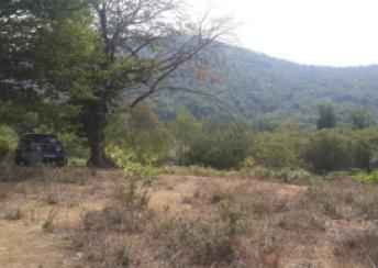  Zaqatala şəhərində torpaq satılır