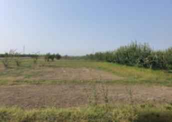  Quba  şəhərində torpaq satılır
