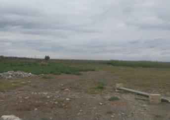  Salyan şəhərində torpaq satılır