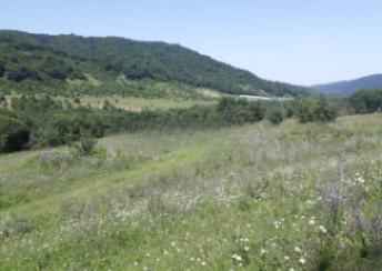 Quba  şəhərində torpaq satılır
