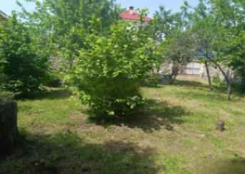  Şəki şəhərində torpaq satılır