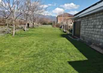  Zaqatala şəhərində torpaq satılır