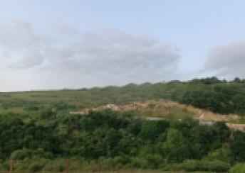  Şamaxı şəhərində torpaq satılır