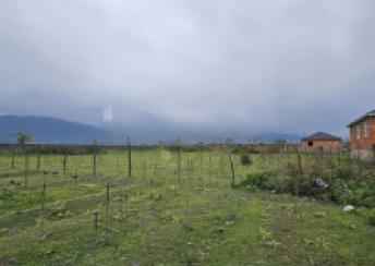 Zaqatala şəhərində torpaq satılır