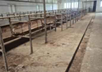  Qala qəsəbəsində obyekt kirayə verilir