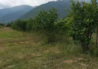  Şəki şəhərində torpaq satılır