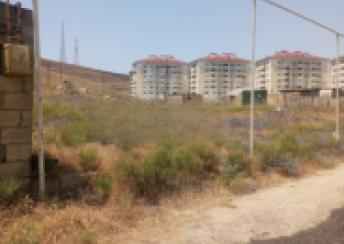  Hökməli qəsəbəsində torpaq satılır