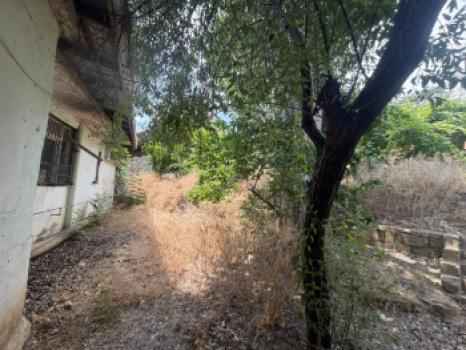  Qaraçuxur qəsəbəsində torpaq satılır