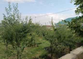  Oğuz şəhərində torpaq satılır