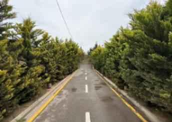  Şüvəlan qəsəbəsində torpaq satılır