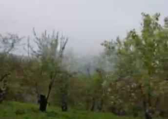  Şamaxı şəhərində torpaq satılır