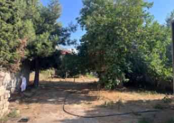  Sabunçu qəsəbəsində torpaq satılır