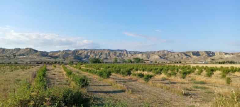  Göyçay  şəhərində torpaq satılır