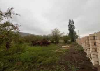  Bakı şəhərində torpaq kirayə verilir