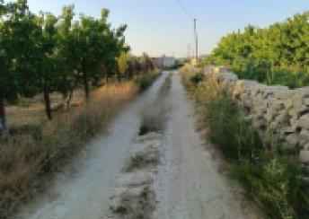  Zirə qəsəbəsində torpaq satılır
