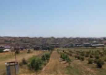  Şamaxı şəhərində torpaq satılır