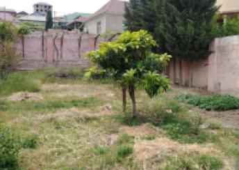  Xocasən qəsəbəsində torpaq satılır