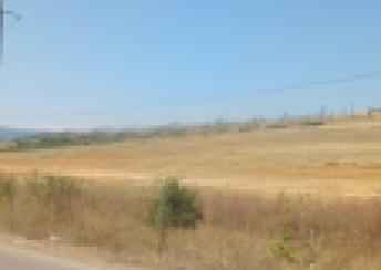  Şamaxı şəhərində torpaq satılır
