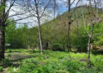  Bakı şəhərində torpaq kirayə verilir