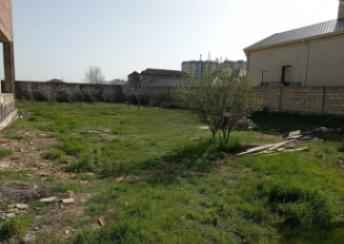 Mehdiabad qəsəbəsində torpaq kirayə verilir