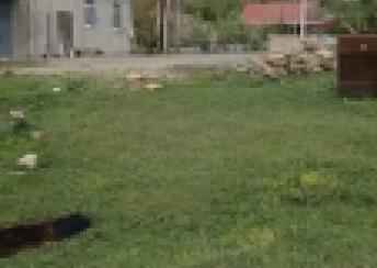  Şamaxı şəhərində torpaq satılır