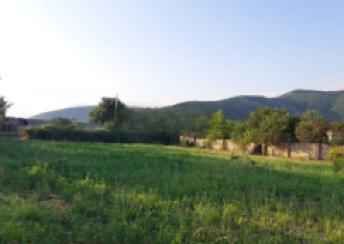  Oğuz şəhərində torpaq satılır