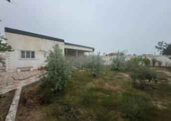  Şüvəlan qəsəbəsində torpaq satılır