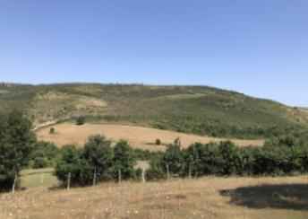  Şabran şəhərində torpaq satılır