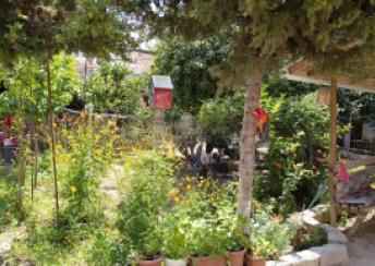  Masazır qəsəbəsində torpaq satılır