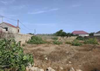  Albalılıq qəsəbəsində torpaq satılır