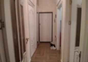  Sumqayıt şəhərində 54m² mənzil kirayə verilir