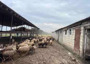  Şabran şəhərində torpaq satılır