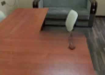  Bakı şəhərində ofis kirayə verilir