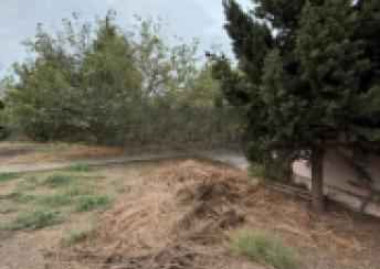  Şağan qəsəbəsində torpaq satılır