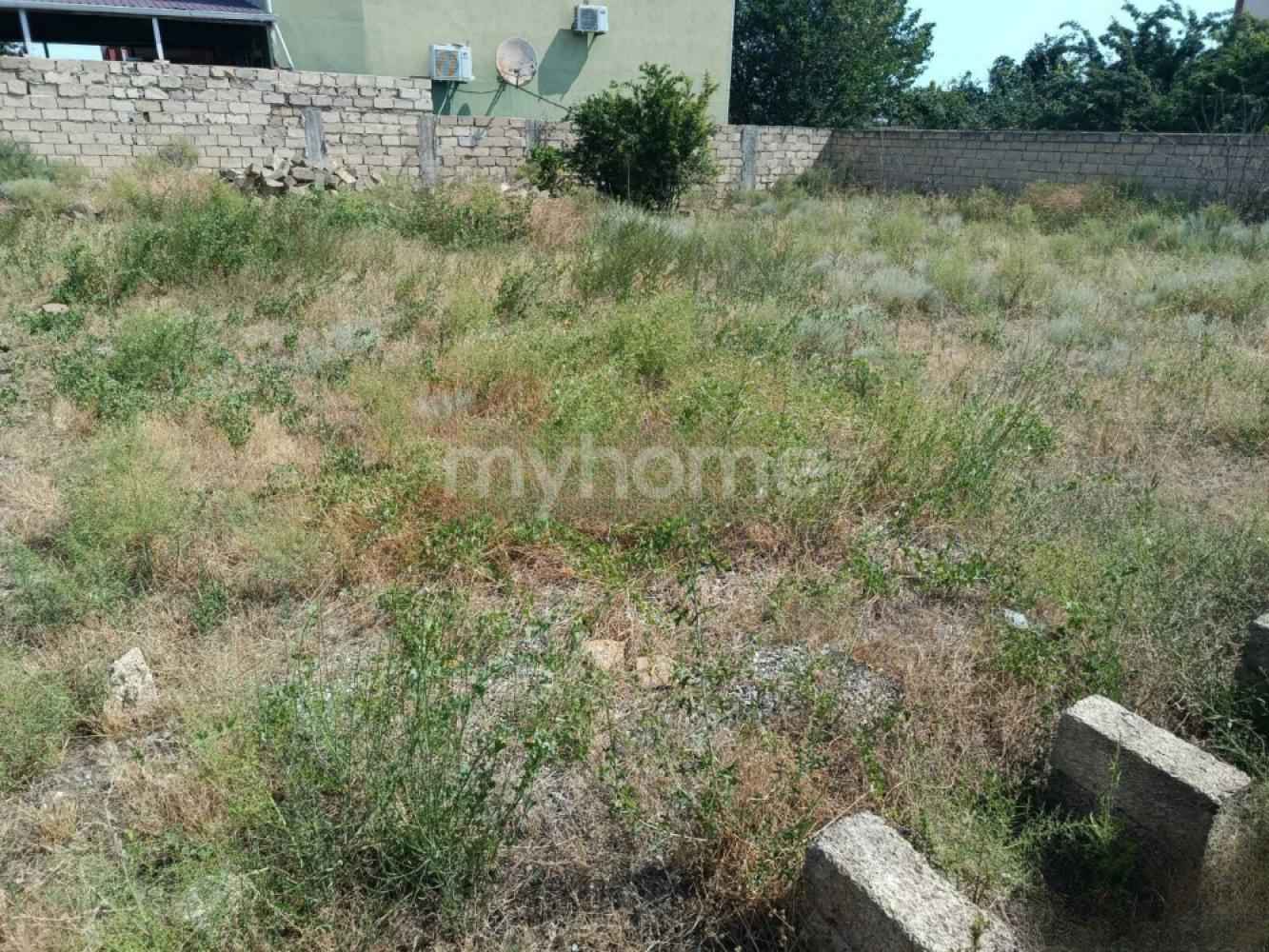  Saray qəsəbəsində torpaq satılır