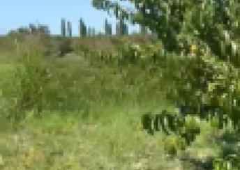  Xaçmaz şəhərində torpaq satılır