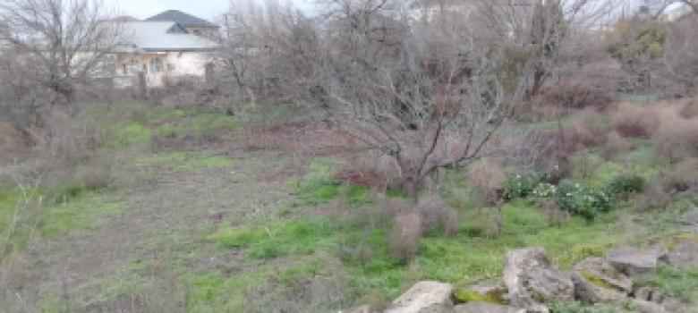  Əhmədli qəsəbəsində torpaq satılır
