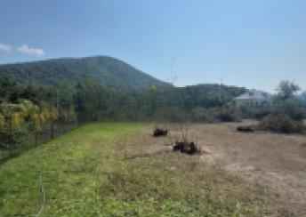 Zaqatala şəhərində torpaq satılır
