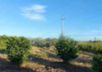  Xaçmaz şəhərində torpaq satılır