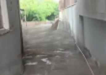  Gəncə şəhərində torpaq satılır