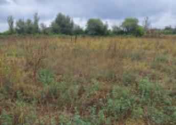  Beyləqan şəhərində torpaq satılır