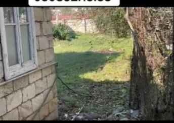  Masallı şəhərində torpaq satılır