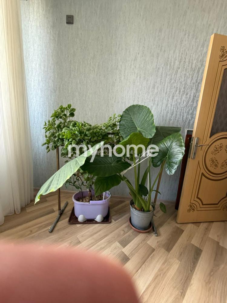  Masazır qəsəbəsində 106m² mənzil satılır