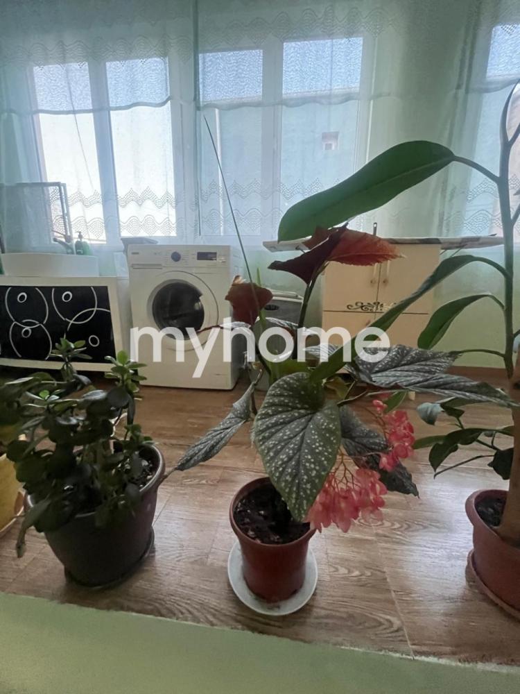  Masazır qəsəbəsində 120m² həyət evi satılır