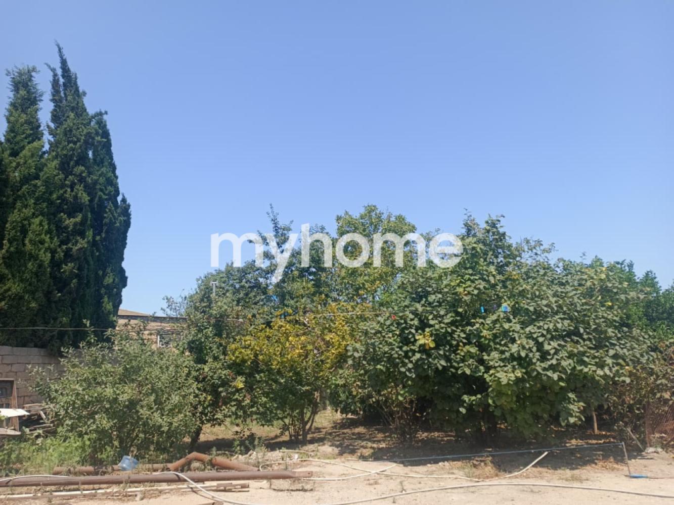  Məmmədli qəsəbəsində torpaq satılır