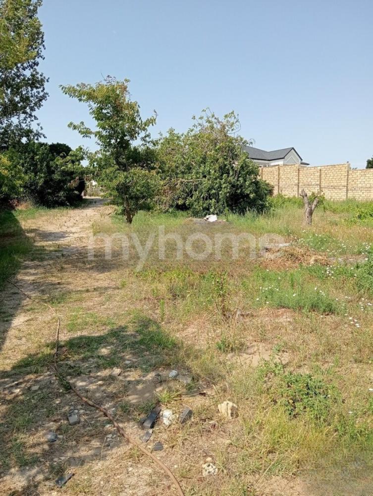  Novxanı qəsəbəsində torpaq satılır